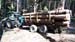 Holztransport